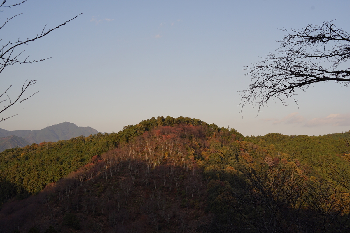 f:id:koucredo:20191124173131j:plain