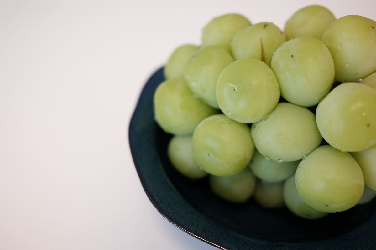 f:id:koucredo:20210923104135j:plain