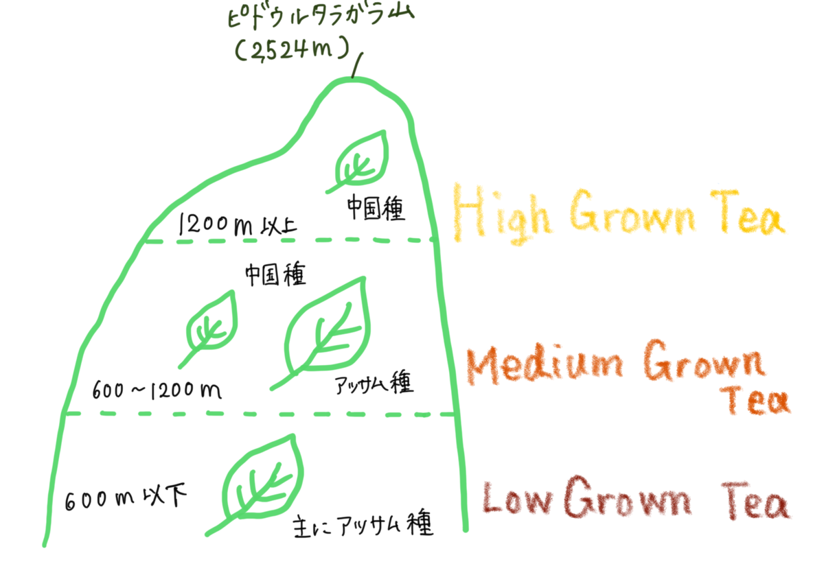 f:id:koucya_okashi:20200720214530p:plain
