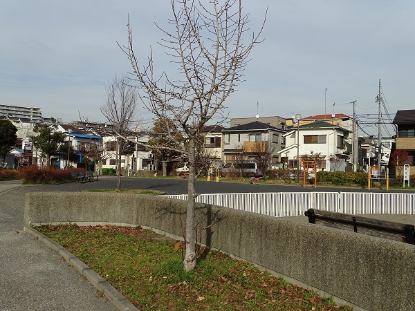 イメージ 9