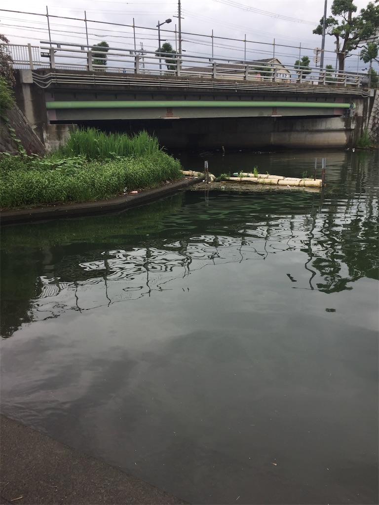 f:id:kougagennosuke:20190722135323j:image f:id:kougagennosuke:20190722135323j:image