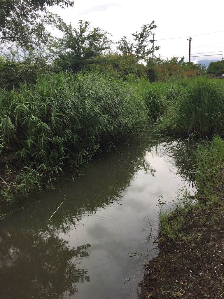 f:id:kougagennosuke:20190722152916j:image f:id:kougagennosuke:20190722152916j:image
