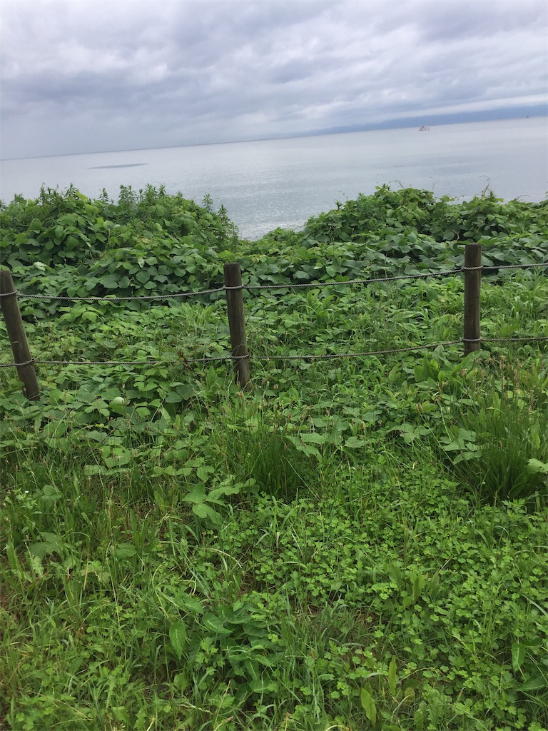 f:id:kougagennosuke:20190722153017j:image f:id:kougagennosuke:20190722153017j:image