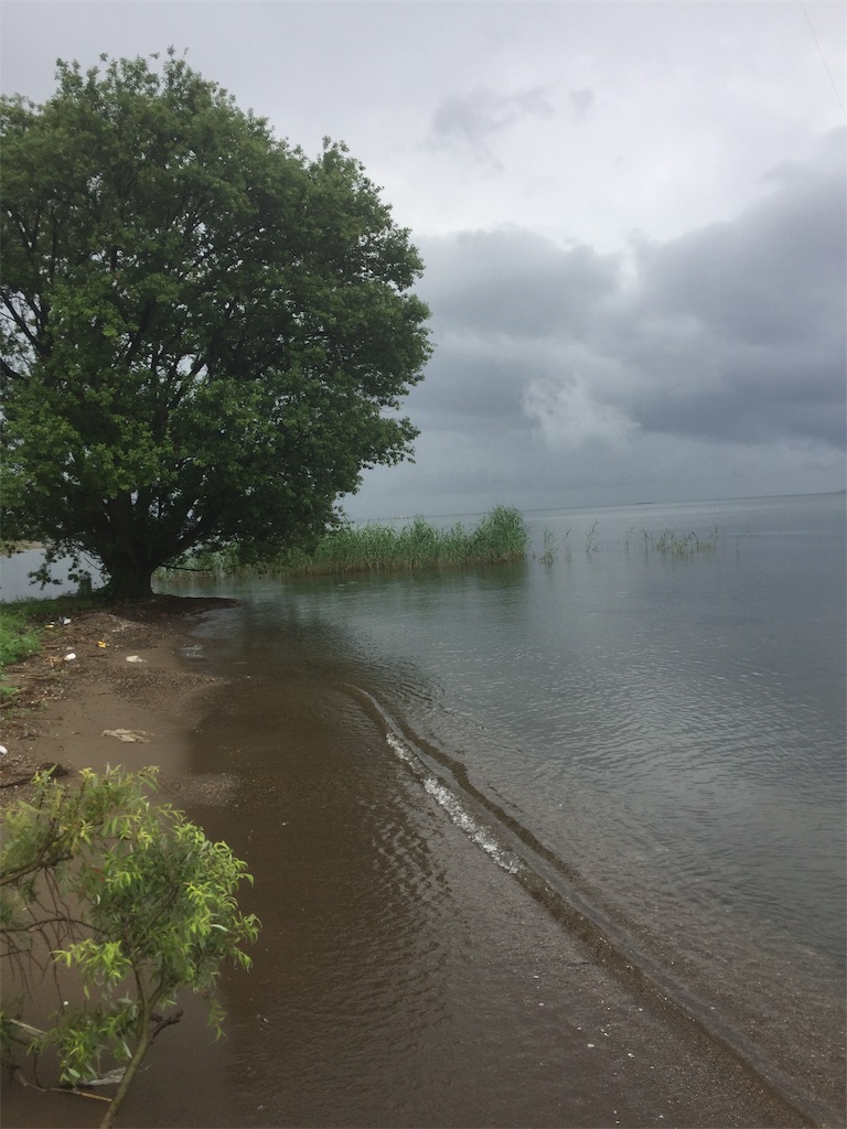 f:id:kougagennosuke:20190722220847j:image f:id:kougagennosuke:20190722220847j:image