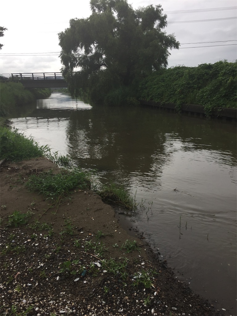 f:id:kougagennosuke:20190722223648j:image f:id:kougagennosuke:20190722223648j:image