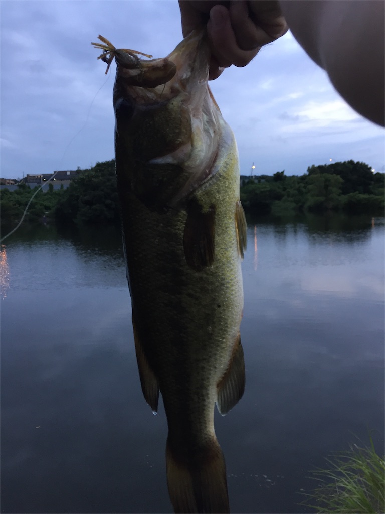 f:id:kougagennosuke:20190809192858j:image