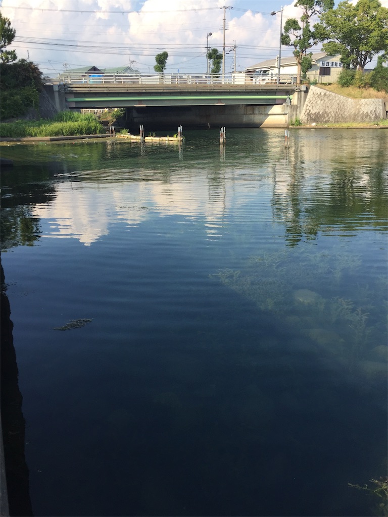 f:id:kougagennosuke:20190811000207j:image f:id:kougagennosuke:20190811000207j:image