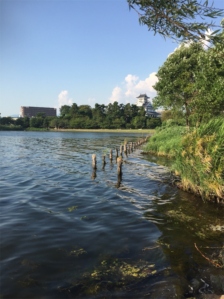 f:id:kougagennosuke:20190811000906j:image f:id:kougagennosuke:20190811000906j:image