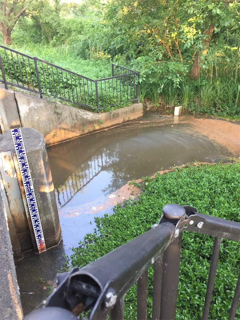 f:id:kougagennosuke:20190811002801j:image f:id:kougagennosuke:20190811002801j:image