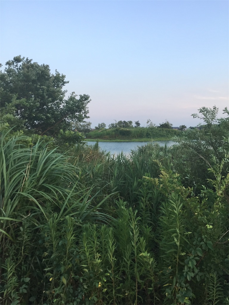 f:id:kougagennosuke:20190811003530j:image f:id:kougagennosuke:20190811003530j:image