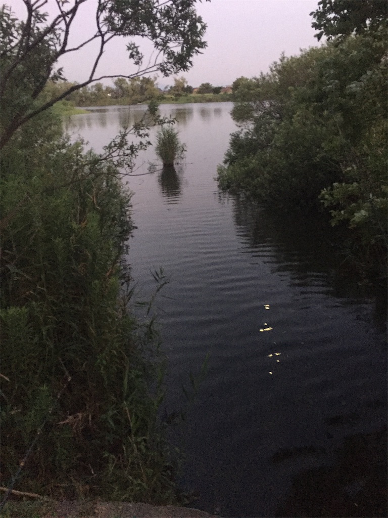 f:id:kougagennosuke:20190811003544j:image f:id:kougagennosuke:20190811003544j:image