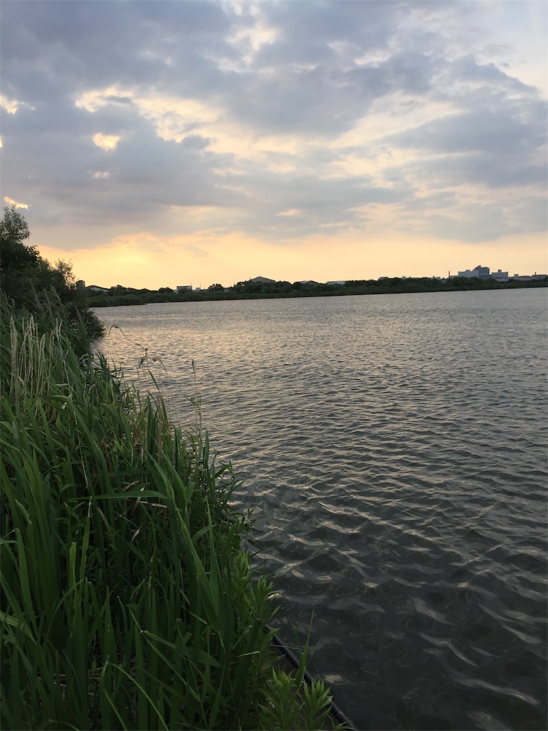 f:id:kougagennosuke:20190811203621j:image f:id:kougagennosuke:20190811203621j:image