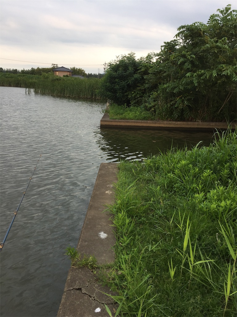 f:id:kougagennosuke:20190811203639j:image f:id:kougagennosuke:20190811203639j:image