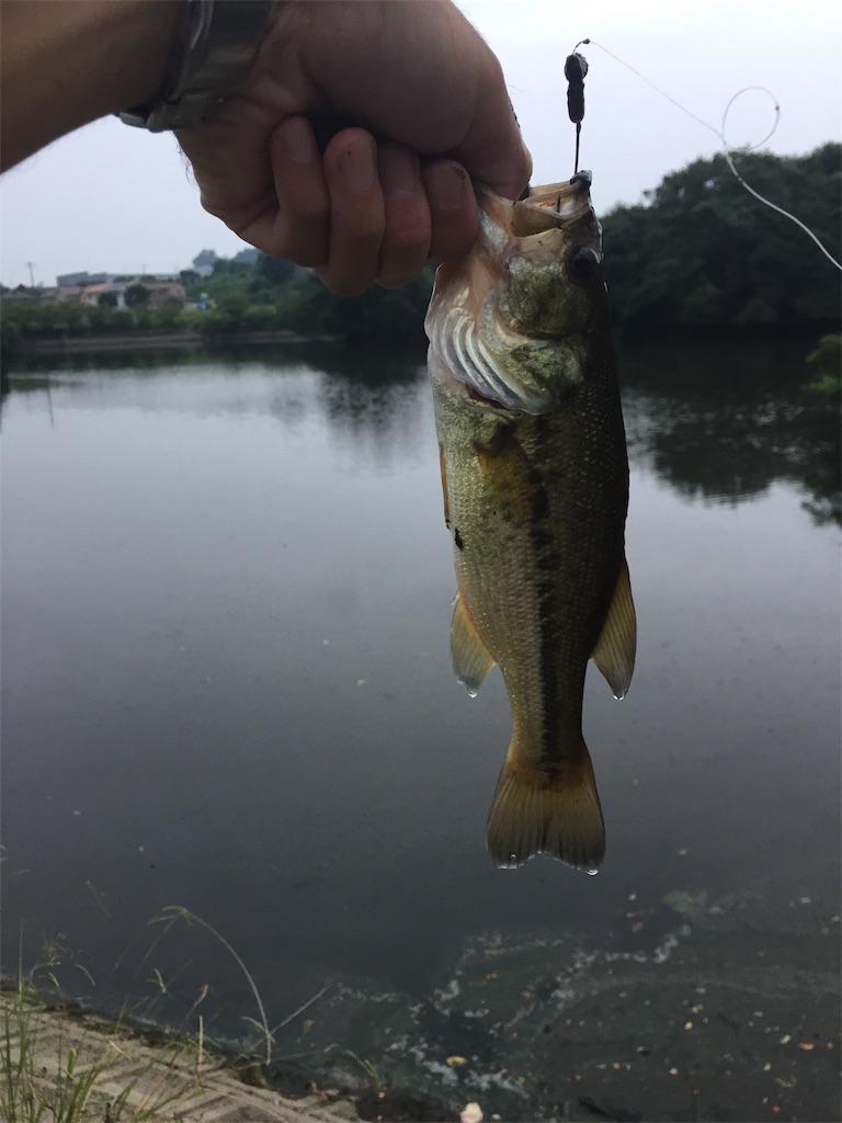 f:id:kougagennosuke:20190819201758j:image