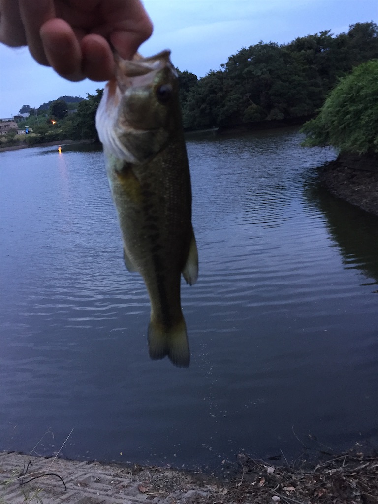 f:id:kougagennosuke:20190825151002j:image