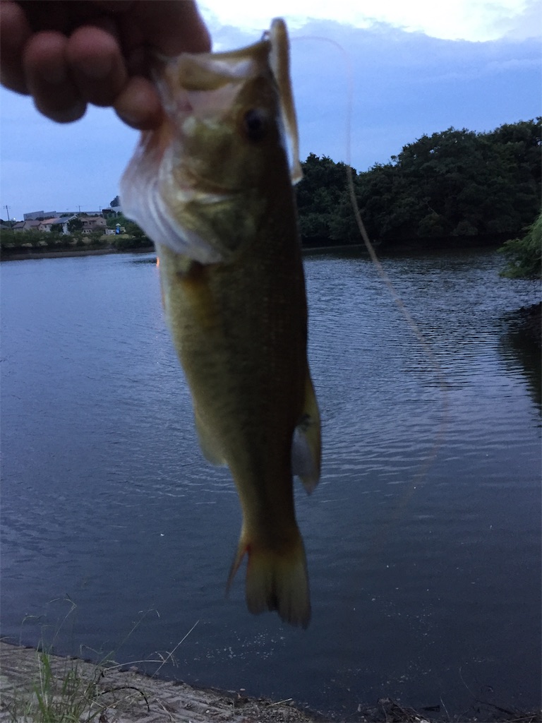 f:id:kougagennosuke:20190825151200j:image
