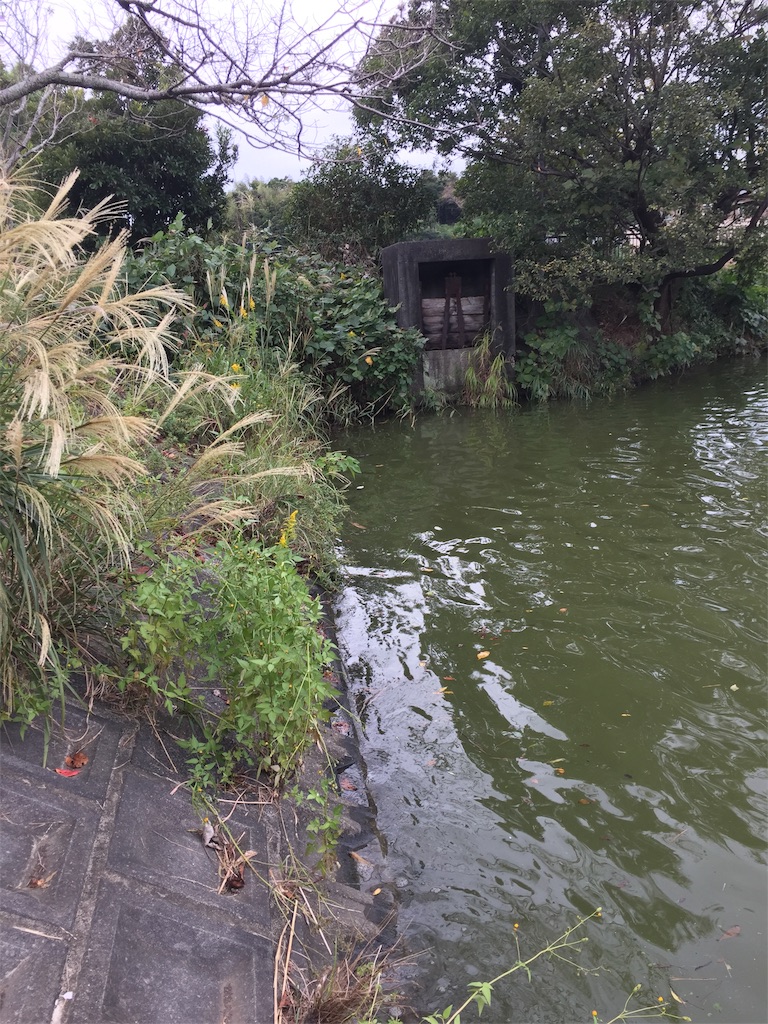 f:id:kougagennosuke:20191014144420j:image