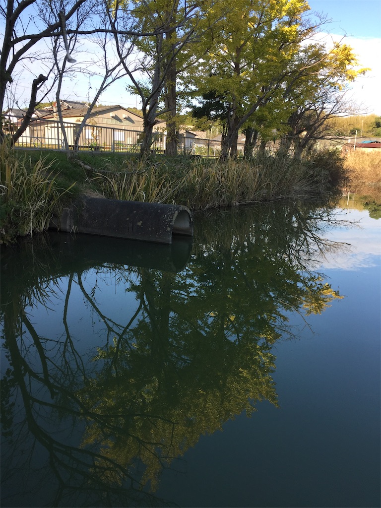 f:id:kougagennosuke:20201106192726j:image