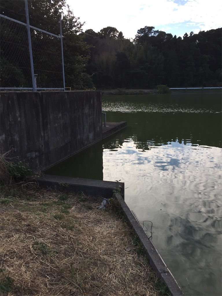 f:id:kougagennosuke:20201106193000j:image