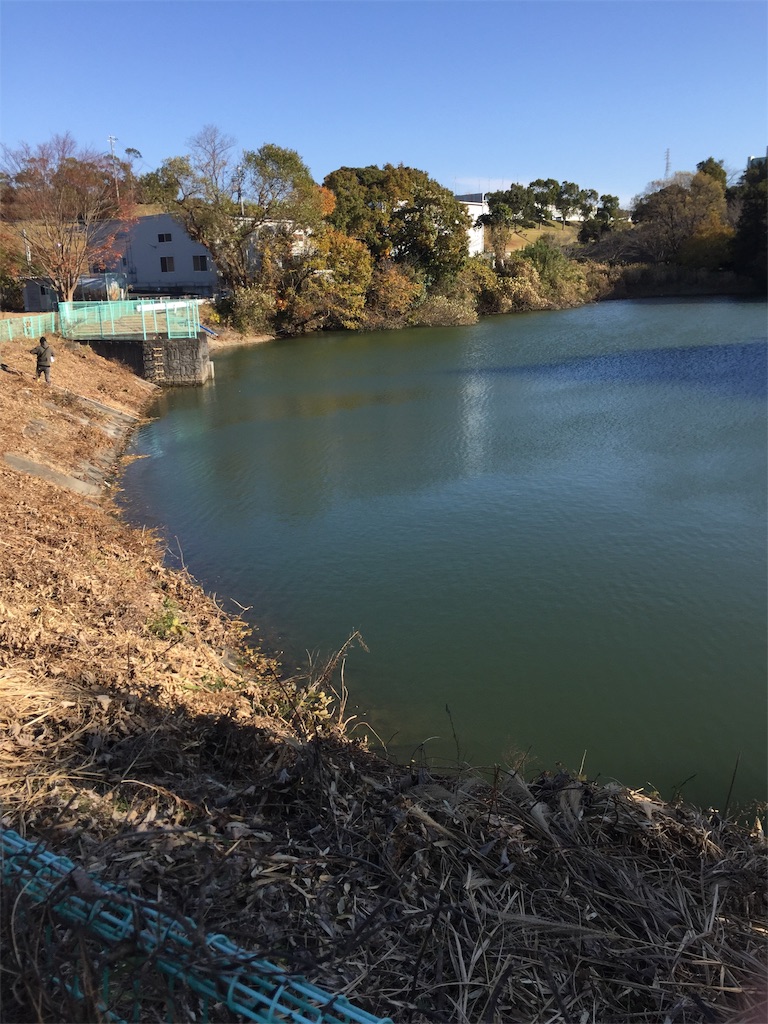 池の谷池 静岡県掛川野池群バス釣り完全攻略マップ 副業を極めたい金融マンげんのブログ 池の谷池 静岡県掛川野池群バス釣り完全攻略マップ 副業を極めたい金融マンげんのブログ