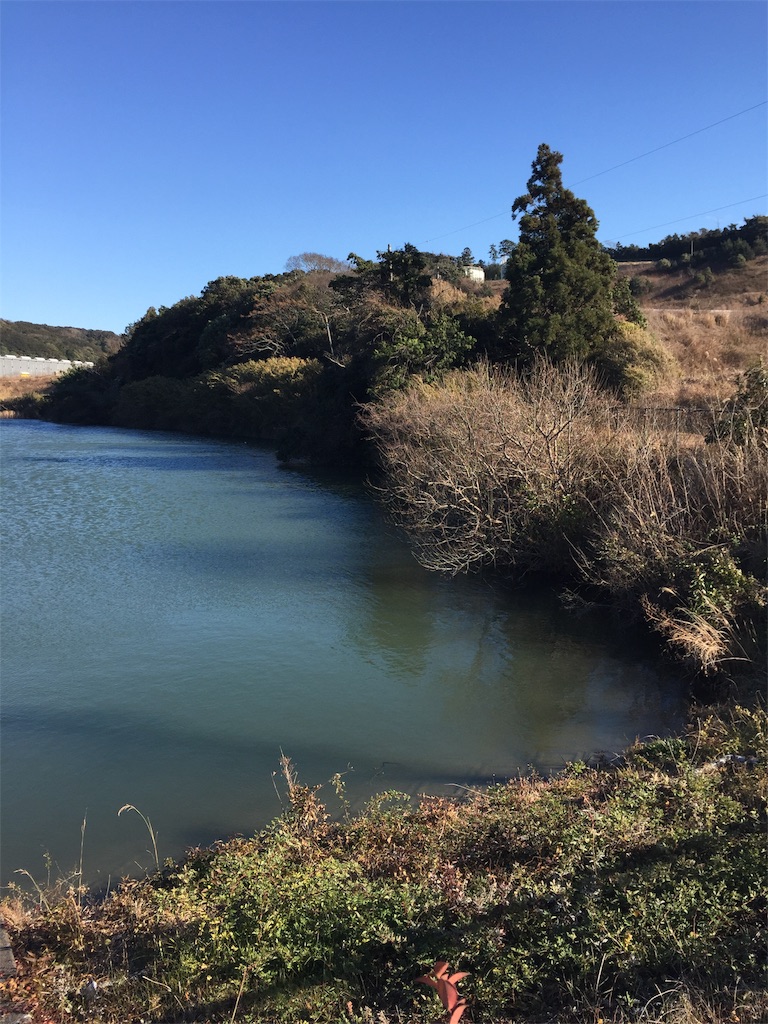 f:id:kougagennosuke:20210109215306j:image f:id:kougagennosuke:20210109215306j:image