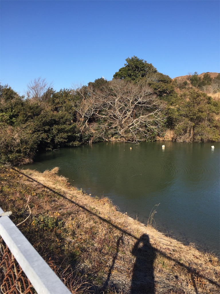 f:id:kougagennosuke:20210109215348j:image f:id:kougagennosuke:20210109215348j:image