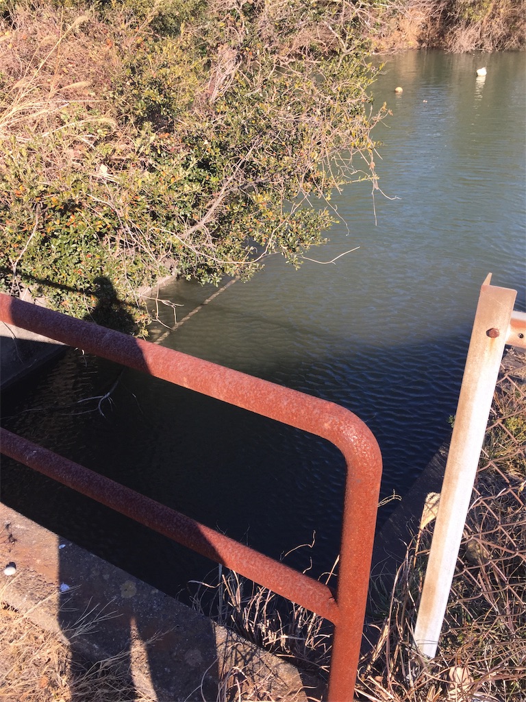 f:id:kougagennosuke:20210109215352j:image f:id:kougagennosuke:20210109215352j:image