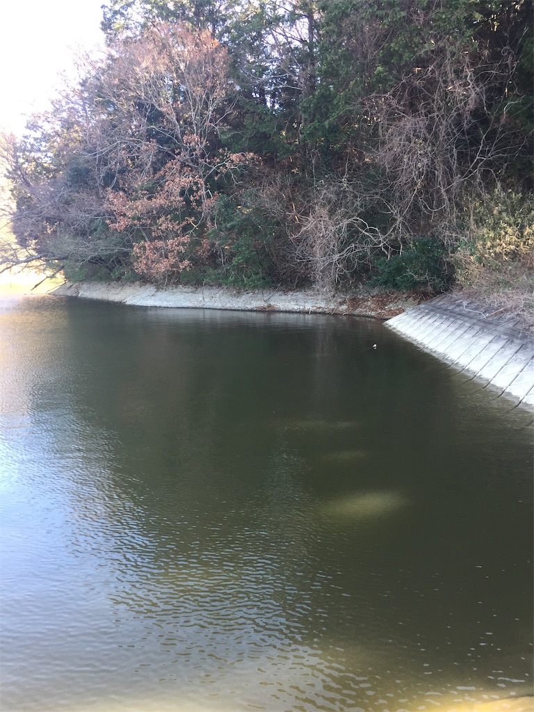 f:id:kougagennosuke:20210110113017j:image