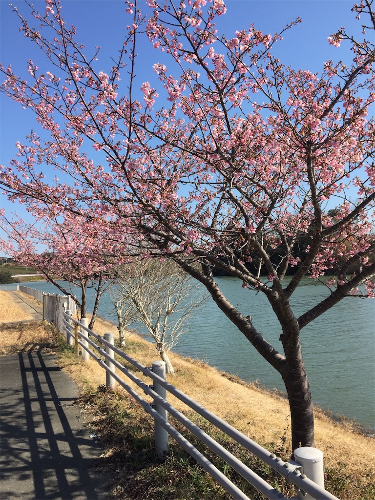 f:id:kougagennosuke:20210220190930j:image