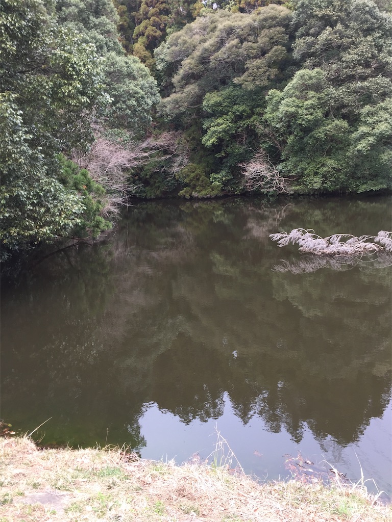 f:id:kougagennosuke:20210307184415j:image