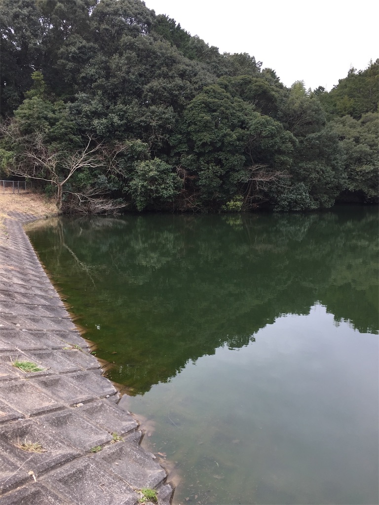 f:id:kougagennosuke:20210307184735j:image