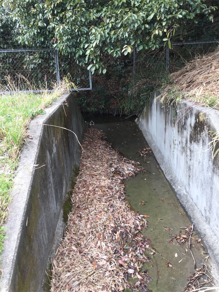 f:id:kougagennosuke:20210307184746j:image