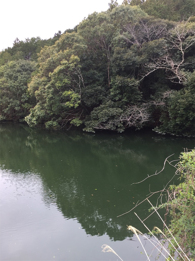 f:id:kougagennosuke:20210307184800j:image