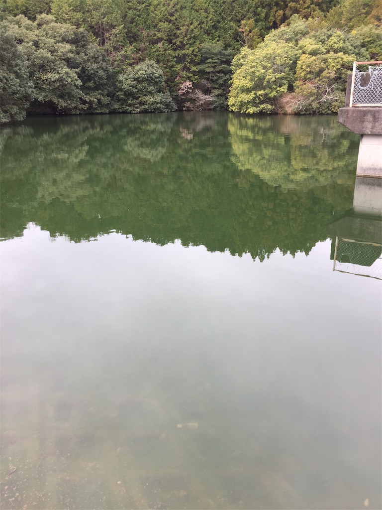 f:id:kougagennosuke:20210307184803j:image