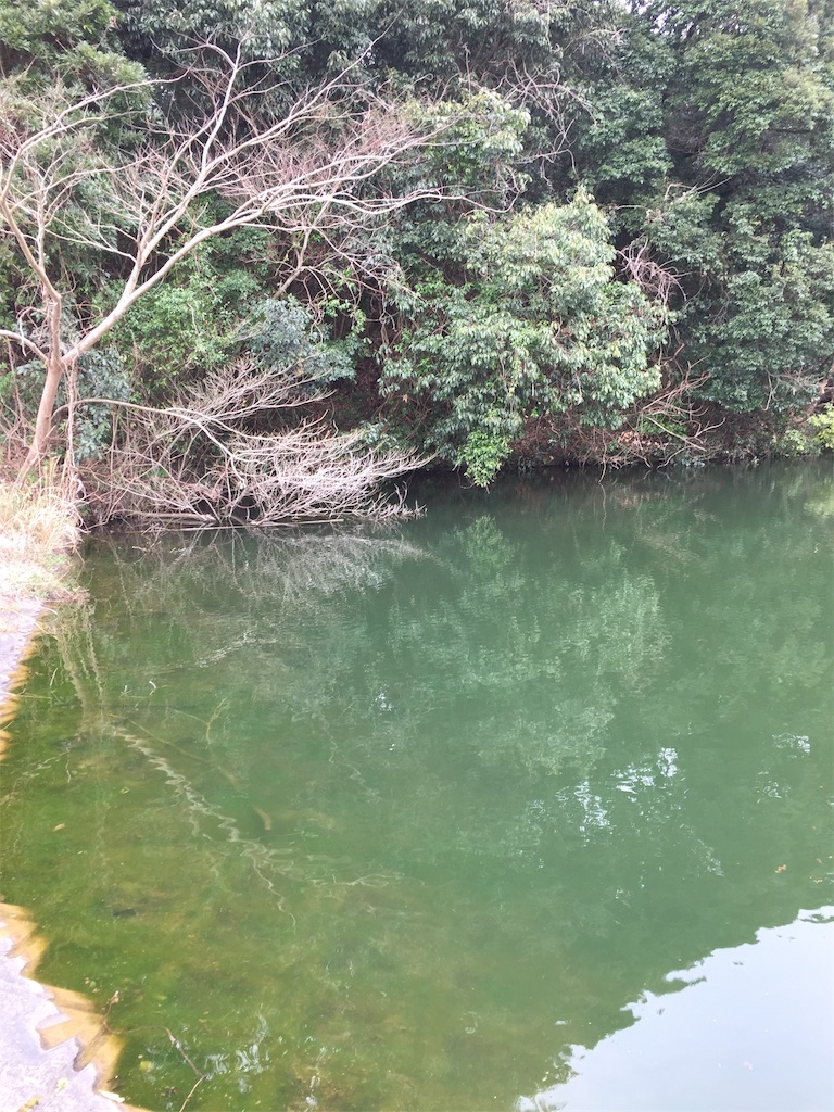 f:id:kougagennosuke:20210307184813j:image