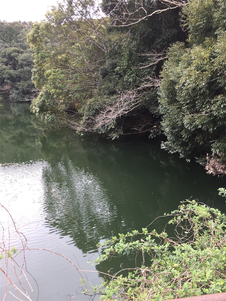 f:id:kougagennosuke:20210307184818j:image