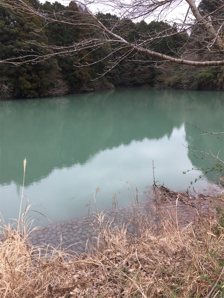 f:id:kougagennosuke:20210308192655j:image