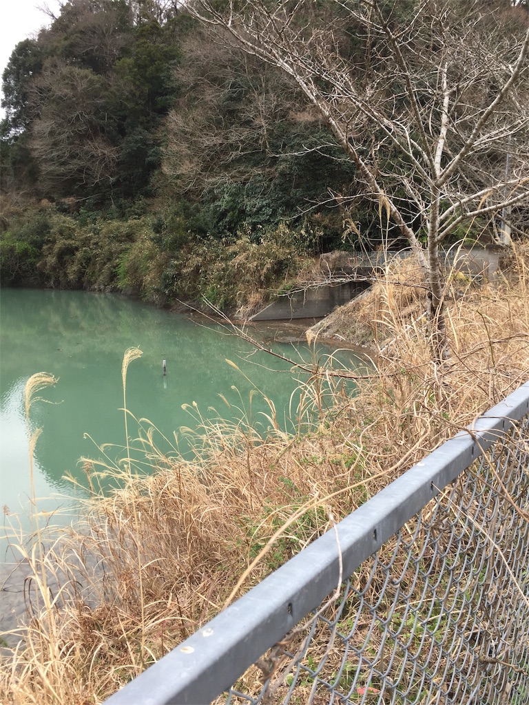 f:id:kougagennosuke:20210308192700j:image