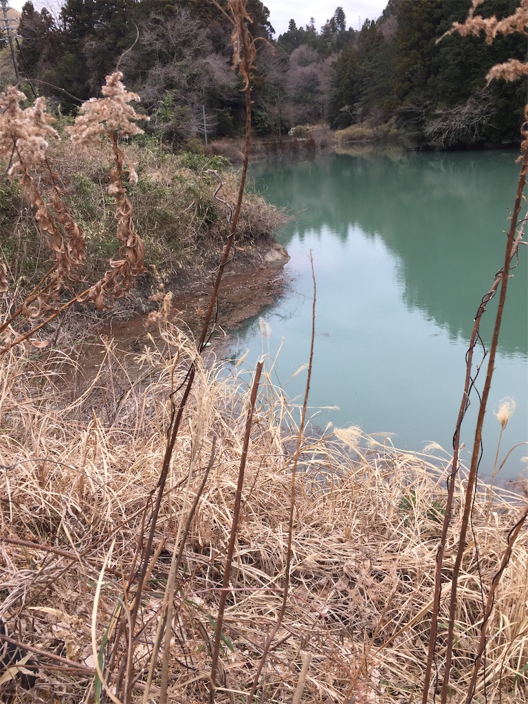f:id:kougagennosuke:20210308192704j:image