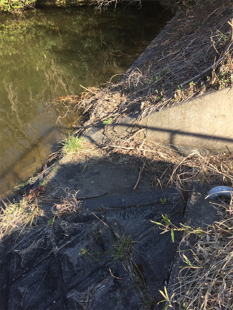 f:id:kougagennosuke:20210313121950j:image