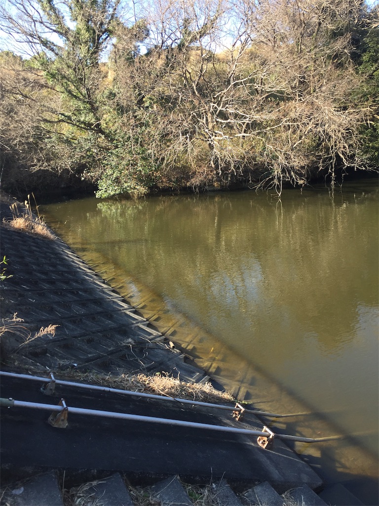 f:id:kougagennosuke:20210313122000j:image