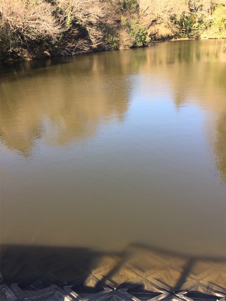 f:id:kougagennosuke:20210313122005j:image