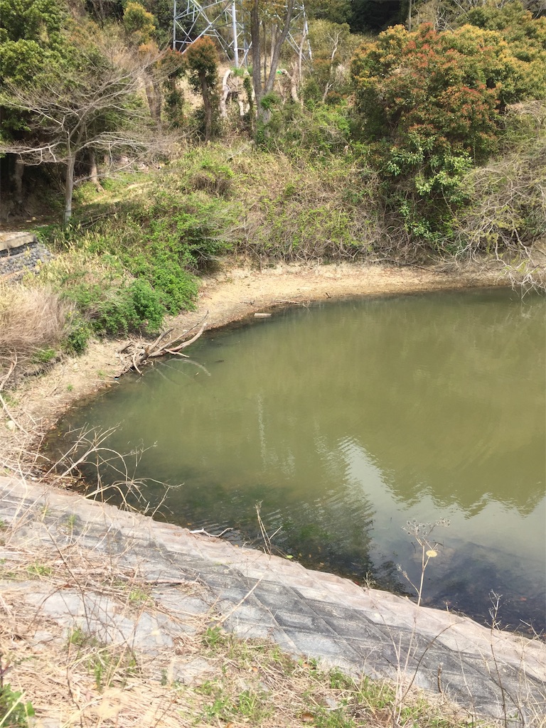 f:id:kougagennosuke:20210327114704j:image