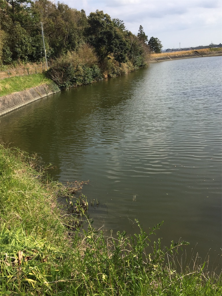 f:id:kougagennosuke:20210327205625j:image