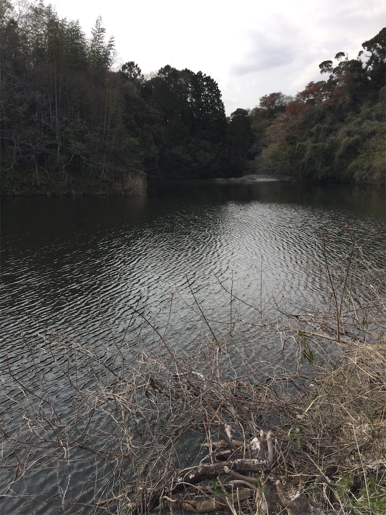 f:id:kougagennosuke:20210327205905j:image