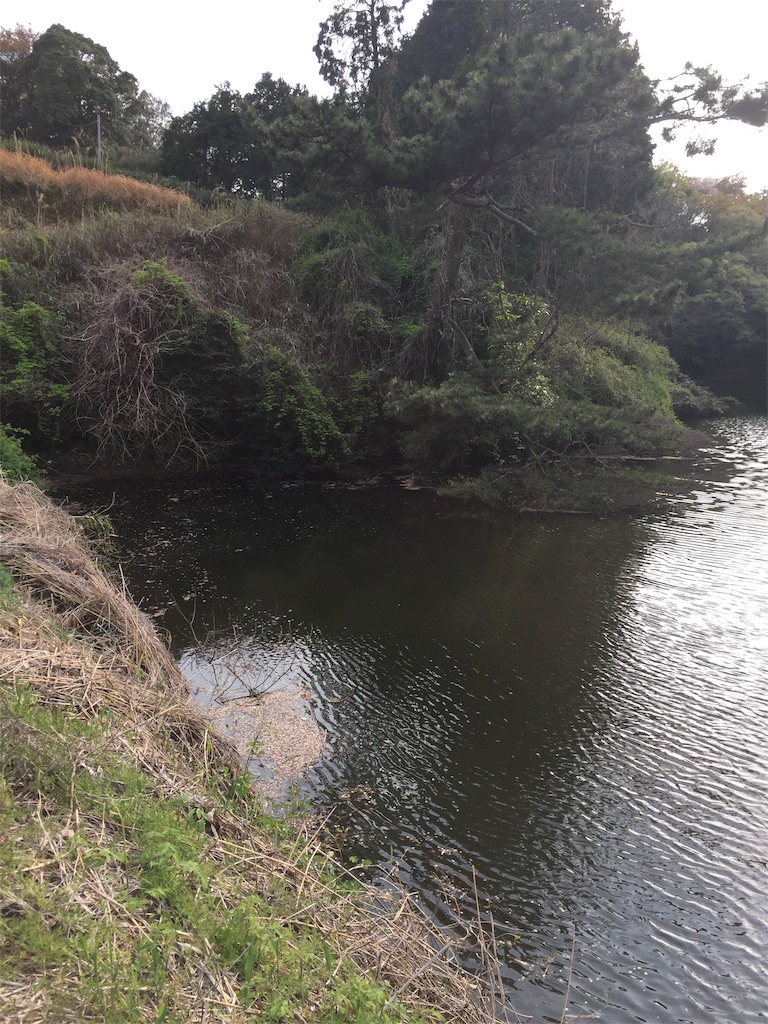 f:id:kougagennosuke:20210327205920j:image