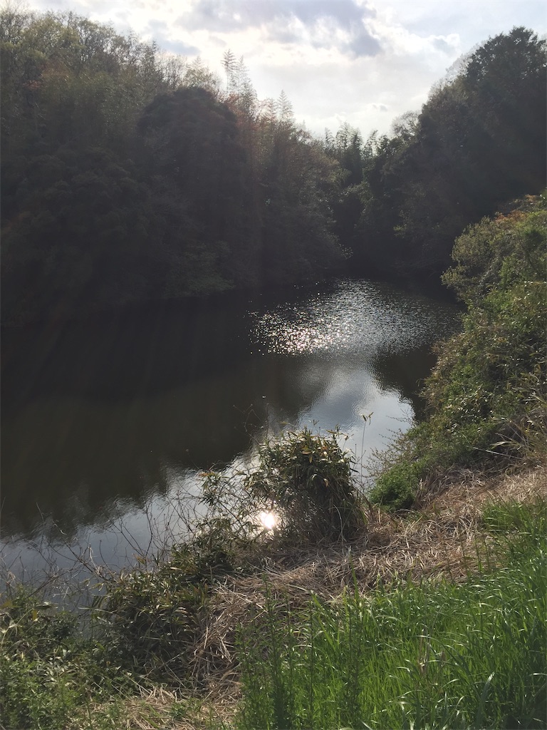 f:id:kougagennosuke:20210327205927j:image