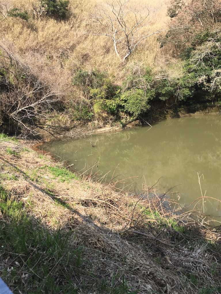 f:id:kougagennosuke:20210327210318j:image f:id:kougagennosuke:20210327210318j:image