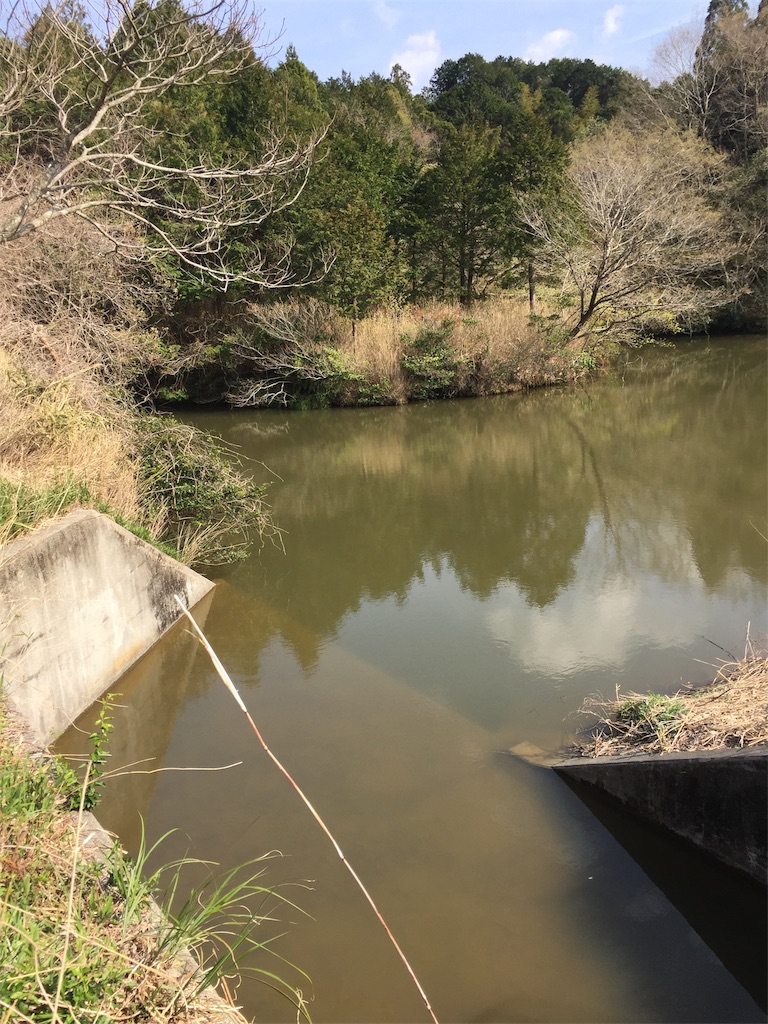 f:id:kougagennosuke:20210327210330j:image f:id:kougagennosuke:20210327210330j:image