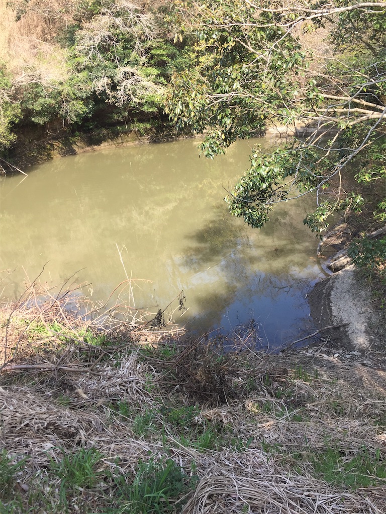 f:id:kougagennosuke:20210327210341j:image f:id:kougagennosuke:20210327210341j:image